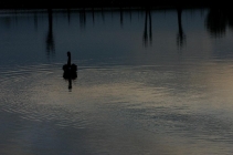 Prossima Foto: Il lago verso sera
