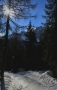 Foto Precedente: Dolomiti