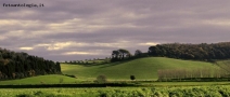 Prossima Foto: La campagna toscana