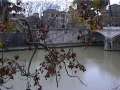 Foto Precedente: Roma in autunno