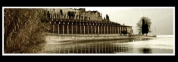 Foto Precedente: Limonaie sul lago di Garda