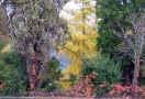 Prossima Foto: L'autunno ci regala colori che fanno bene