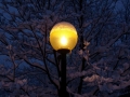 Prossima Foto: CUFFIA SUL LAMPIONE