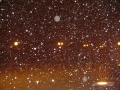 Prossima Foto: La neve alla notte