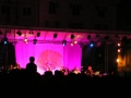 Prossima Foto: Modena City Ramblers in concerto