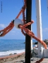 Prossima Foto: ....sulla spiaggia di spotorno....