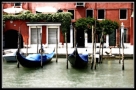Prossima Foto: impressioni veneziane 2