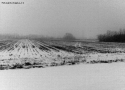 Foto Precedente: Neve sui campi