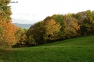 Foto Precedente: Serie d'autunno - La linea