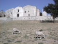 Foto Precedente: Caltabellotta - La chiesa della Madrice