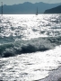 Foto Precedente: sul mare luccica