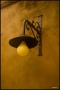 Foto Precedente: la lampada sul muro