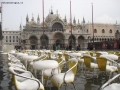 Prossima Foto: venezia, l,acqua alta e ... la neve