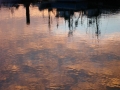 Foto Precedente: tramonto nell'acqua