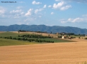 Prossima Foto: Caldo pomeriggio di Luglio