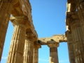 Foto Precedente: Antica Grecia
