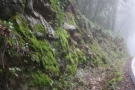 Foto Precedente: Monte avvolto dalla nebbia