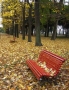 Foto Precedente: autunno a sant'elena