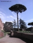 Prossima Foto: Roma - Sul Palatino, tra rovine e natura