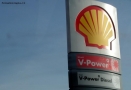 Foto Precedente: SHell