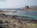 Prossima Foto: Sardegna