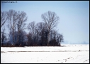 Prossima Foto: Oasi nella neve