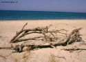 Foto Precedente: Spiaggia in Sicilia
