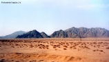 Prossima Foto: deserto del sinai (viaggiando)