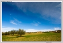 Foto Precedente: I colori della campagna