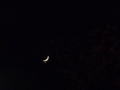 Foto Precedente: luna venere sotto giove in alto
