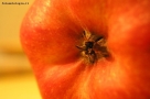 Foto Precedente: mela stark