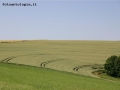 Foto Precedente: paesaggio rurale