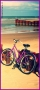 Prossima Foto: La bicicletta lilli