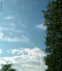 Foto Precedente: Nuvole con albero