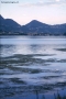 Prossima Foto: Lago di Garlate, lungo l'Adda