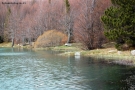 Foto Precedente: Il lago in inverno...