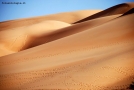 Foto Precedente: La magia dorata del deserto libico