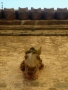 Foto Precedente: Horse..sul muro!!!