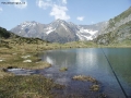 Foto Precedente: Lago di Bos