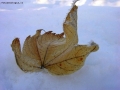 Foto Precedente: collezione autunno/inverno
