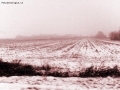 Foto Precedente: Neve in campagna