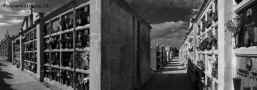 Foto Precedente: Sicilia - Cimitero