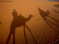 Foto Precedente: Sahara Marocco estate 2005