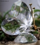 Prossima Foto: la farfalladi  cristallo