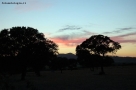 Foto Precedente: tramonto3