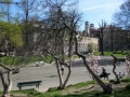 Prossima Foto: Giardini d'aprile