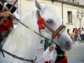 Foto Precedente: cavallo bianco