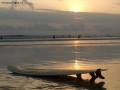 Prossima Foto: Tavola surf