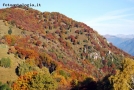 Prossima Foto: i colori dell' autunno