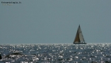 Foto Precedente: barca al tramonto